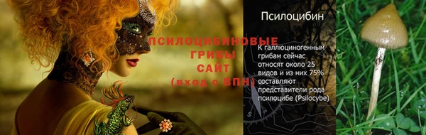 эйфоретик Арсеньев