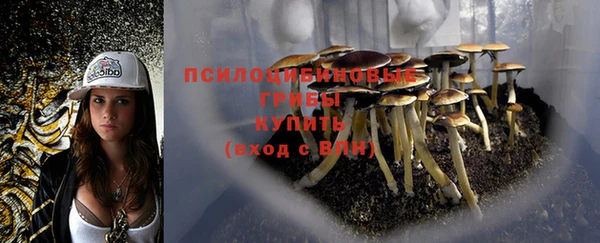 эйфоретик Арсеньев