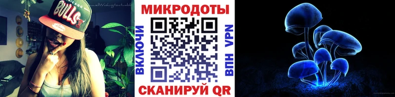Псилоцибиновые грибы GOLDEN TEACHER  купить наркоту  Арск 